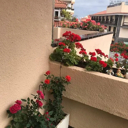 Apartamento Puerto De La Cruz 푸에르토 드 라 크루즈