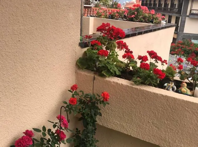 Apartamento Puerto De La Cruz Пуэрто-де-ла-Крус